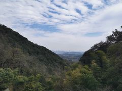 -韬光茶庵