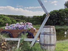 -安德鲁户外烧烤帐篷营地(马泉营店)