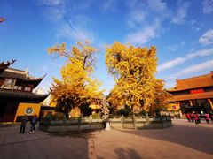 -圆通寺