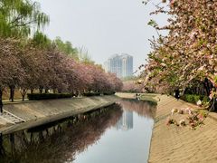 -海棠花溪(元大都城垣遗址公园)