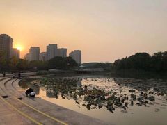 -新江湾城公园
