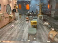 -BABIT巴比特宠物(MOMOPARK店)