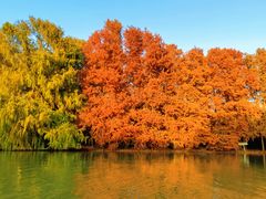 -上海海湾国家森林公园