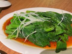 -蓉城小馆(科兴店)