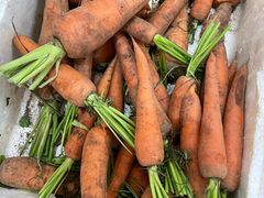 -恒达综合农贸市场(黄山路店)