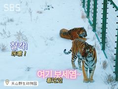 -新疆天山野生动物园