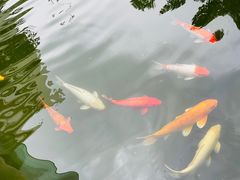 -园林格兰云天大酒店-太极名厨中餐厅