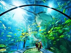 -福州罗源湾海洋世界旅游区