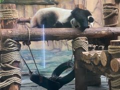 -泉州海丝野生动物世界