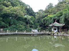 -黔灵山公园