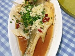 -魚當家