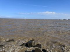 -南汇嘴观海公园