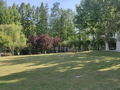 -上海长兴岛郊野公园