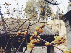 -沣峪森林公园龙潭戏水景区