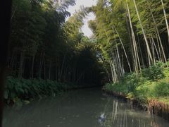 -同里国家湿地公园