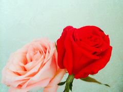 -奥斯卡国际影城(杜比全景声&4D激光店)