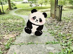 -杭州植物园