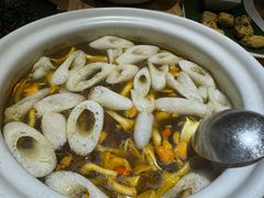 -鲜菌江湖正宗野生菌火锅