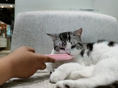 -藏猫猫咖啡主题馆(中央大道店)