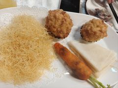 -丁老爷子苏香圆