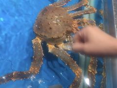 -盒马鲜生(悦峰店)