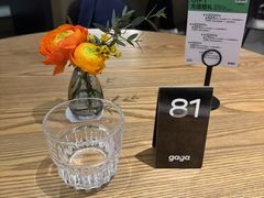 -gaga(深圳南山益田假日广场店)