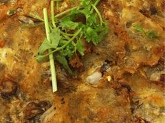 -百年银屏蚝烙·潮汕菜·非遗(乐山店)