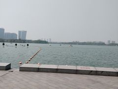 -暨阳湖生态园