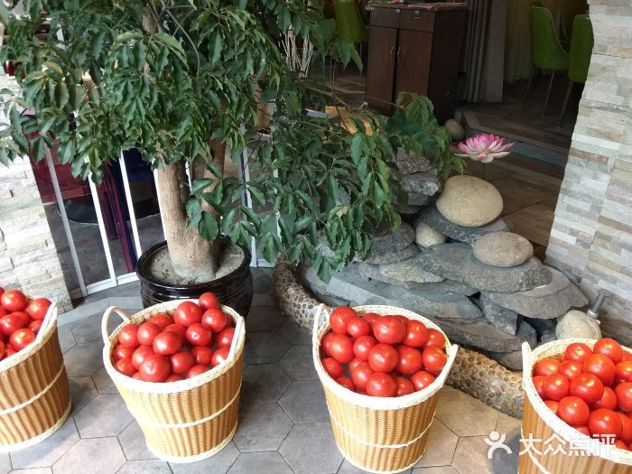 蕃茄述·好汤自然来(江汉路店)图片