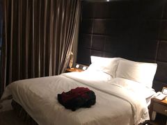 -大同王府至尊酒店