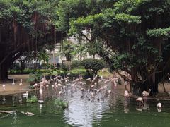 -九龙公园