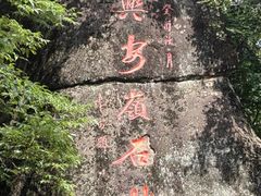 -汤旺河林海奇石景区