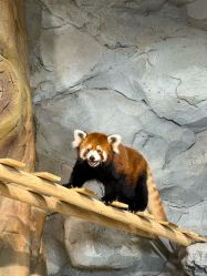 -Zoolung Zoolung动物主题公园(海信广场店)