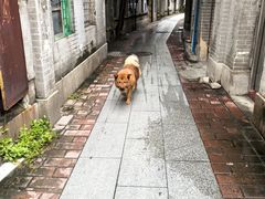 -奇香楼(五眼桥横街店)