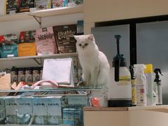 -听TA说宠咖·宠物生活馆(天韵水岸店)