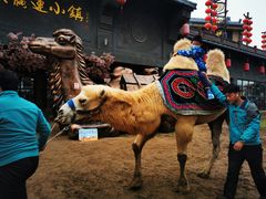 -华夏文旅西安度假区