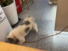 -Dal Cuore 达可芮冰淇淋(陕西北路店)