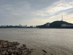 -野狸岛