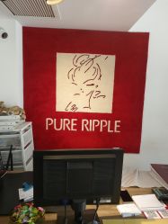 -净漪造型 PURE RIPPLE