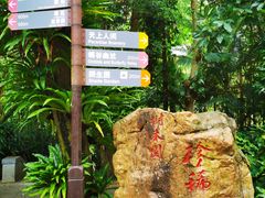 -深圳仙湖植物园