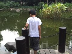 -新湖明珠城