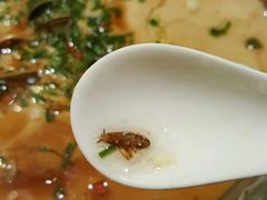 -阿英煲(凉城路店)