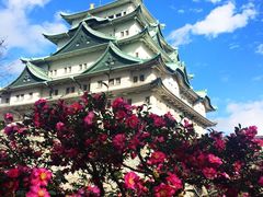 -名古屋城