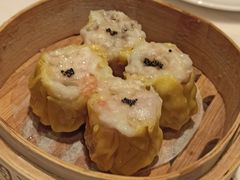 黑鱼子香菇烧卖皇-陶陶居酒家(海岸城店)