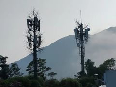 -梧桐山风景名胜区