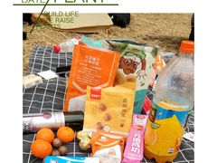 -番禺大夫山森林公园