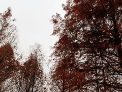 -贵阳市花溪国家城市湿地公园