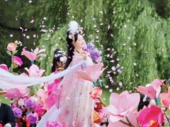 -杭州宋城