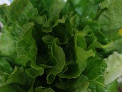 -养牛邓·潮汕牛肉海鲜自助火锅(广州店)