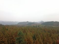 -山王坪喀斯特国家生态公园